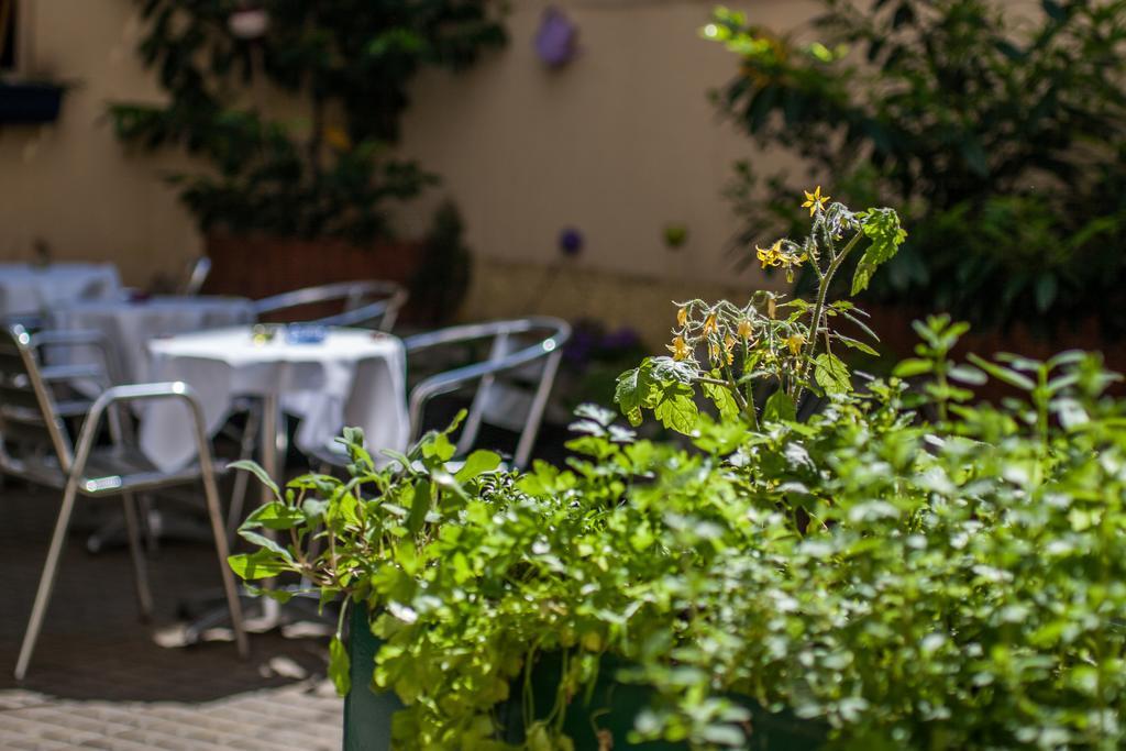 Boutique Donauwalzer 3*